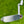 Load image into Gallery viewer, GSS Smooth Face 009m w/Large Single Milled Bombs @ 350g (Tiger Woods Style)
