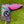 Load image into Gallery viewer, Tour Prototype "My Girl" 009 1.5 Carbon with Scotty Dog Hand Stamp
