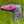 Load image into Gallery viewer, Tour Prototype "My Girl" 009 1.5 Carbon with Scotty Dog Hand Stamp
