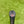Load image into Gallery viewer, Tour Prototype "My Girl" 009 1.5 Carbon with Scotty Dog Hand Stamp
