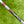 Load image into Gallery viewer, Brand New Tour F-3 Del Mar (T.DM) SSS w/Top Line Alignment Aid
