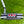 Load image into Gallery viewer, Black Tour Studio Style Fastback 1.5 w/Flojet Neck &amp; Carbon Chainlink Insert
