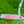 Load image into Gallery viewer, Brand New Timeless Buttonback Tourtype w/ Sight Dot Alignment Aid
