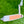 Load image into Gallery viewer, Brand New Timeless Buttonback Tourtype w/ Sight Dot Alignment Aid
