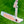 Load image into Gallery viewer, Brand New Timeless Buttonback Tourtype w/ Sight Dot Alignment Aid
