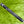Load image into Gallery viewer, Black Tour Studio Style Fastback 1.5 w/Flojet Neck &amp; Carbon Chainlink Insert
