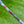 Load image into Gallery viewer, Brand New Timeless Buttonback Tourtype w/ Sight Dot Alignment Aid
