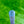Load image into Gallery viewer, Brand New Timeless Buttonback Tourtype w/ Sight Dot Alignment Aid
