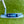 Load image into Gallery viewer, Brand New (Cam Smith Style) Masterful Tourtype 1.5 SSS in Mystic Blue Finish w/Matte Silver Shaft
