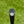 Load image into Gallery viewer, Brand New, 1st of its Kind, Tour Buttonback GOLO 6.2R w/Plumbers Neck
