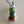 Load image into Gallery viewer, 2012 Cinco de Mayo "Worm Burner" Limited Release Blade Headcover
