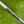 Load image into Gallery viewer, Unreleased 2026 Tour Prototpye Phantom X T12
