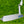 Load image into Gallery viewer, Brand New Tiger Woods Style Timeless Tourtype (TT) w/Blue Paint Fill @ 350g
