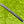 Load image into Gallery viewer, Brand New Tiger Woods Style Timeless Tourtype (TT) w/Blue Paint Fill @ 350g
