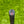 Load image into Gallery viewer, Brand New Tiger Woods Style Timeless Tourtype (TT) w/Blue Paint Fill @ 350g

