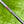 Load image into Gallery viewer, Made for the Tour Phantom X T5.5 w/Flojet Neck &amp; Black Tour Shaft
