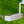 Load image into Gallery viewer, Made for the Tour Phantom T7.2 w/Plumbers Neck
