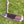 Load image into Gallery viewer, Brooks Koepka Style Chromatic Bronze T22 Newport 2 Tour w/Teryllium Insert &amp; Top Line
