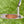 Load image into Gallery viewer, Brooks Koepka Style Chromatic Bronze T22 Newport 2 Tour w/Teryllium Insert &amp; Top Line
