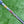 Load image into Gallery viewer, Chromatic Bronze Tour Fastback T22 Teryllium Prototype w/Welded Neck &amp; Black Shaft
