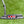 Load image into Gallery viewer, Brand New Tour Studio Style Newport 2 In Tour Black Finish
