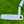 Load image into Gallery viewer, Brand New 2026 Tour Buttonback GOLO 6.2R w/Plumbers Neck
