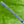 Load image into Gallery viewer, Brand New 2026 Tour Buttonback GOLO 6.2R w/Plumbers Neck
