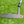Load image into Gallery viewer, Brand New Black Masterful Tourtype SSS
