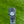 Load image into Gallery viewer, Brand New 2026 Tour Buttonback GOLO 6.2R w/Plumbers Neck
