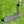 Load image into Gallery viewer, Brand New Black Masterful Tourtype SSS
