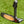 Load image into Gallery viewer, Brand New Tour T22 Newport 2 Teryllium In Black Finish w/Sight Dot Alignment Aid

