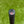 Load image into Gallery viewer, Brand New Tour T22 Newport 2 Teryllium In Black Finish w/Sight Dot Alignment Aid
