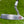 Load image into Gallery viewer, Very Rare Swan Neck Tour Studio Select Newport 2 Mid-Slant w/Black Tour Shaft
