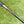 Load image into Gallery viewer, Very Rare Swan Neck Tour Studio Select Newport 2 Mid-Slant w/Black Tour Shaft
