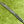 Load image into Gallery viewer, Very Rare Swan Neck Tour Studio Select Newport 2 Mid-Slant w/Black Tour Shaft
