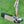 Load image into Gallery viewer, Brand New 2-Tone Tour Newport w/Chromatic Bronze GSS Insert, Weights, &amp; w/Welded Polished Neck
