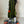 Load image into Gallery viewer, Brand New 2019 Masters Release, Circle T Pathfinder Bag w/Matching 5-Piece Headcover Set
