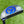 Load image into Gallery viewer, Brand New Fully Blacked Out F-3 Tour Del Mar (T.DM) SSS
