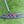 Load image into Gallery viewer, Brand New Center Shaft Tour Select Newport 2.6 in Tour Black Finish
