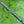 Load image into Gallery viewer, Brand New 2017 Scotty Cameron Limited Edition My Girl Futura 5MB

