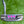 Load image into Gallery viewer, Brand New 2018 Scotty Cameron Limited Edition My Girl "Hugs &amp; Kisses"
