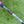 Load image into Gallery viewer, Brand New 2018 Scotty Cameron Limited Edition My Girl "Hugs &amp; Kisses"
