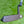Load image into Gallery viewer, Deep Milled Tour Studio Select Newport 2 In Tour Black Finish &amp; Green Paint Fill
