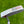 Load image into Gallery viewer, "Encinitas, Cameron Gallery, Route 101" Timeless Newport 2 SSS w/Surfer Stamp And Tour Bombs
