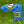 Load image into Gallery viewer, Scotty's Custom Shop 2015 Turbo Blue Jackpot Johnny Blade Headcover
