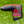 Load image into Gallery viewer, Brand New OG Super Rat Circle T Blade Headcover
