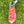 Load image into Gallery viewer, 2026 Club Cameron Welcome Kit Blade Headcover

