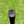 Load image into Gallery viewer, Brand New Timeless (TT) SSS w/Classic "CAMERON" Cavity Hand Stamp &amp; Sight Dot Alignment Aid
