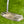 Load image into Gallery viewer, Scotty Cameron's Personally Made and Used Tour Catalina 2 w/Signed Letterhead
