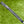 Load image into Gallery viewer, Scotty Cameron's Personally Made and Used Tour Catalina 2 w/Signed Letterhead
